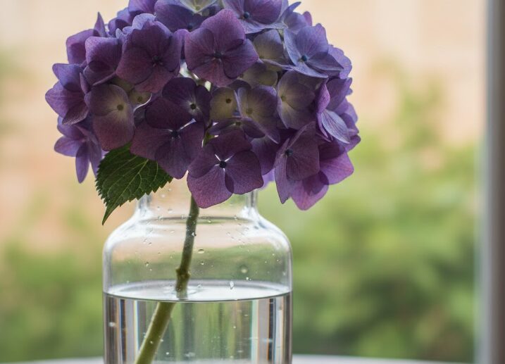 一次元の挿し木記事のアイキャッチ